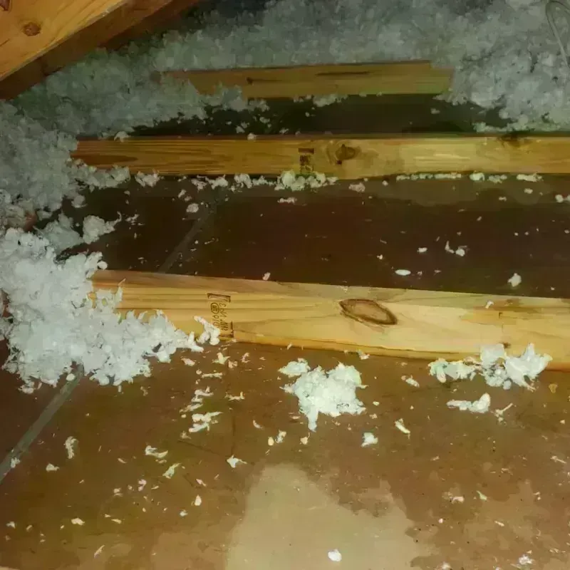 Attic Water Damage in Liberty, NC