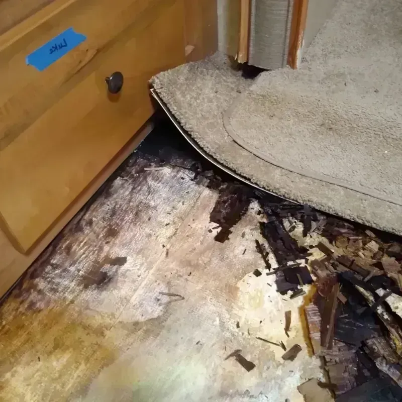 Wood Floor Water Damage in Liberty, NC